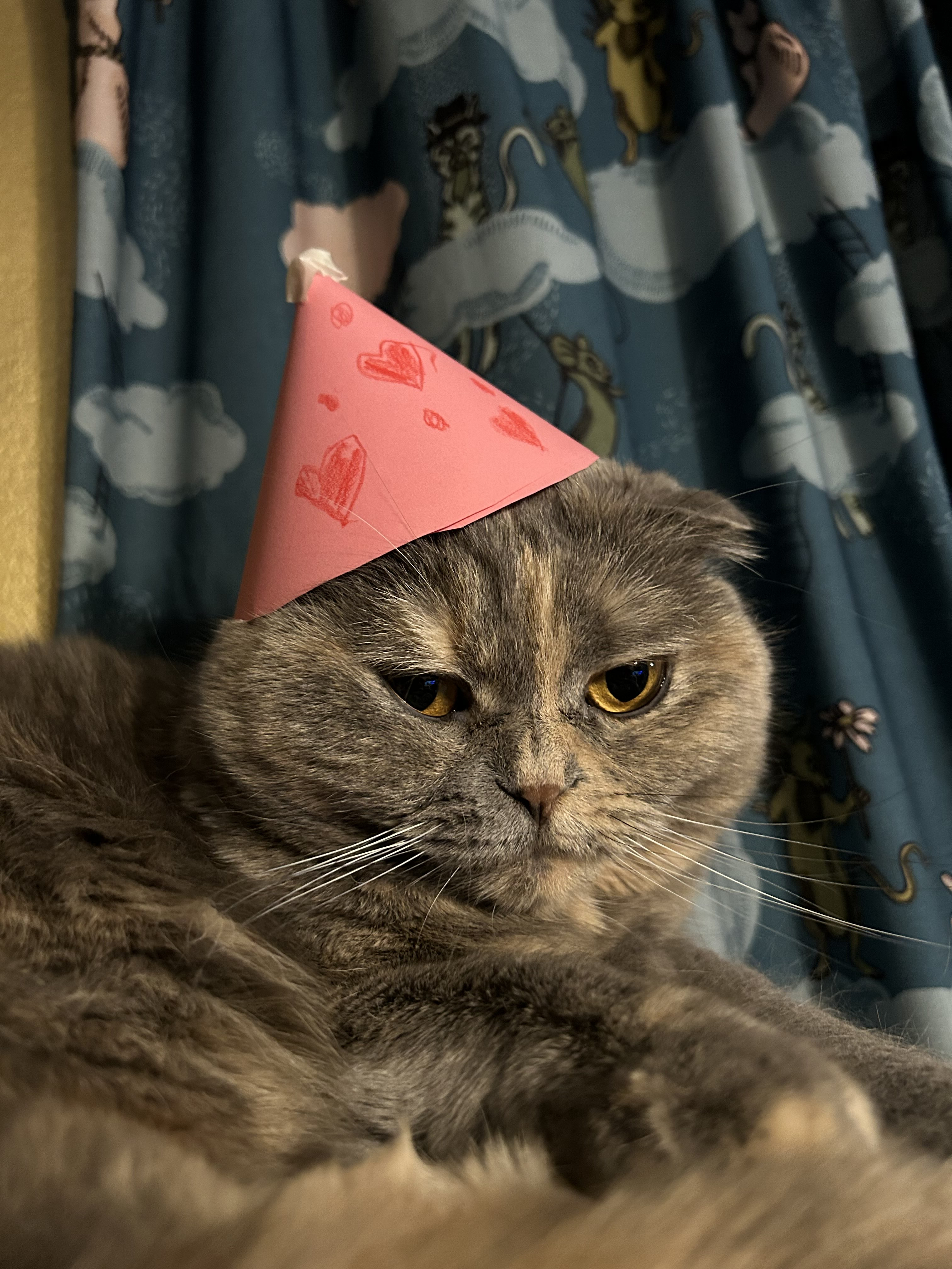 Toinen kuva Possusta